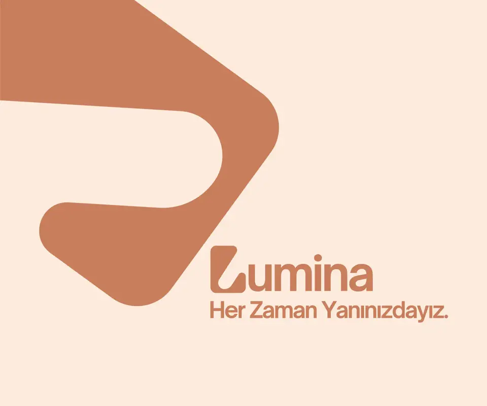 Lumina Consulting transformation visual